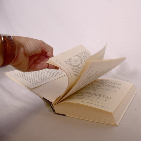 The Type E Woman How to Overcome the Stress of Being Everything to Everybody - Picture 5 of 8